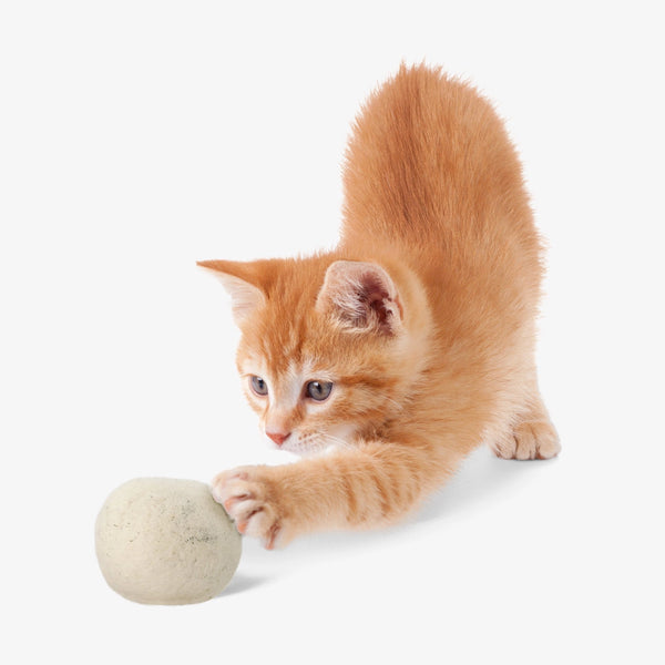 "Catnip Infused" Wool Balls For Felines - Set of 2