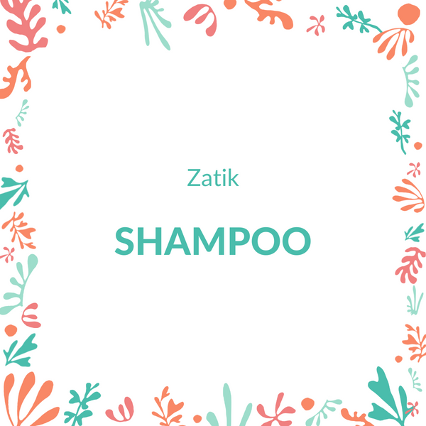 Zatik zero waste plastic free shampoo with Fillgood