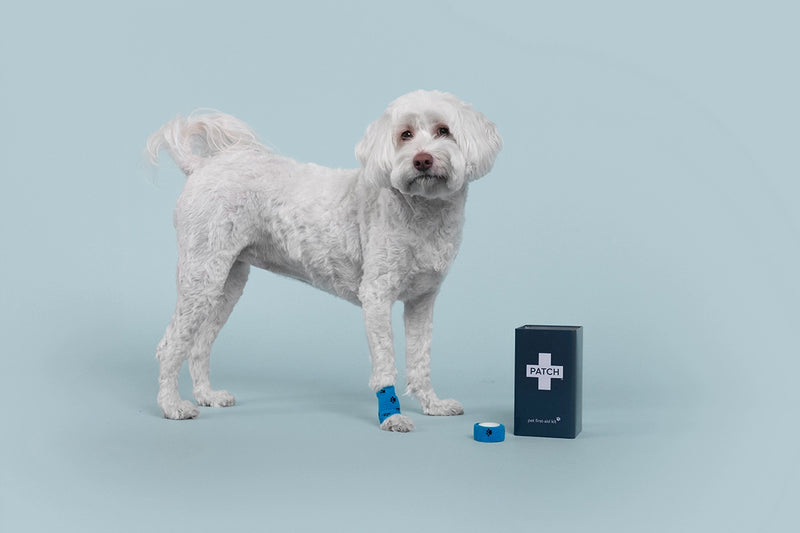 Pet Eco First-Aid Kit For Pets