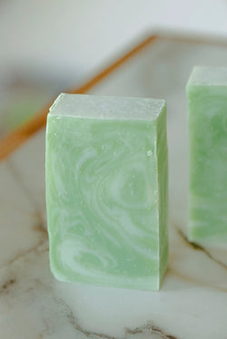 Moisturizing Vegan Body Wash