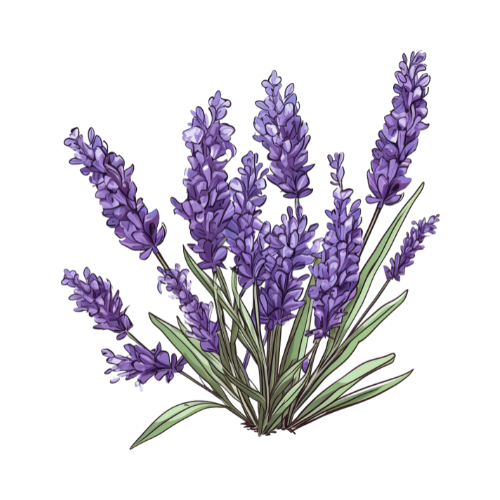 Organic Essential Oils