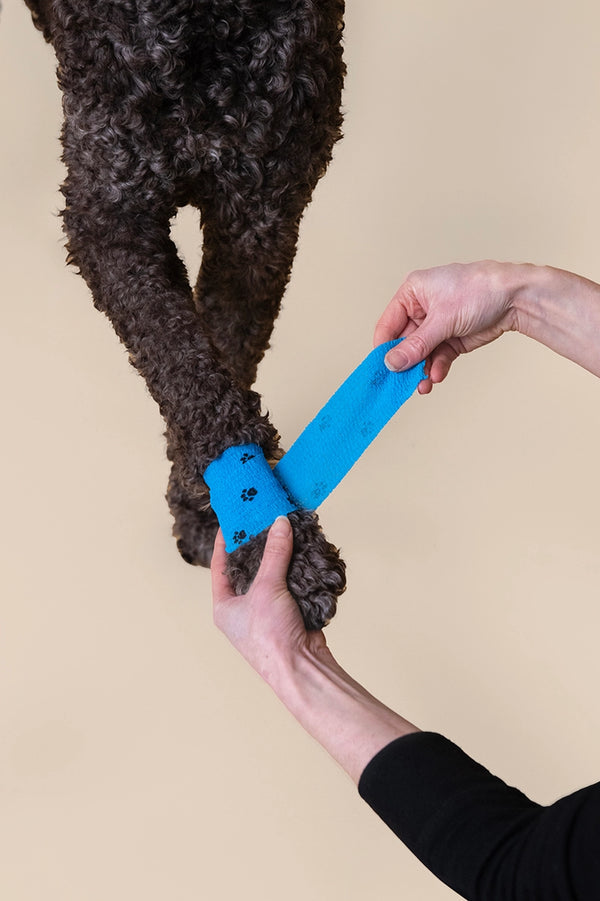Pet Eco First-Aid Kit For Pets