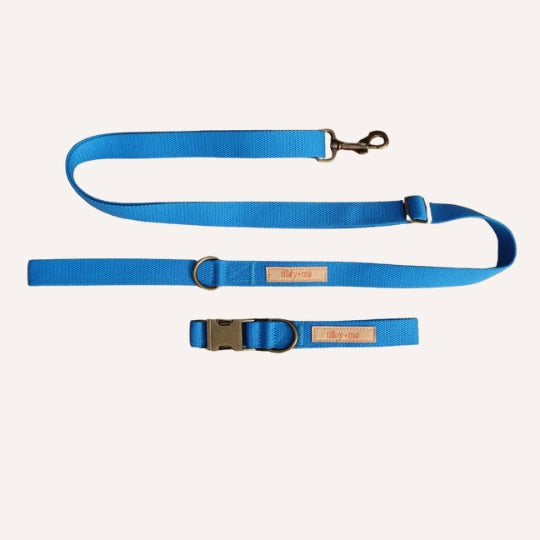 Organic Hemp Cotton Dog Collar & Leash - Adjustable & Durable