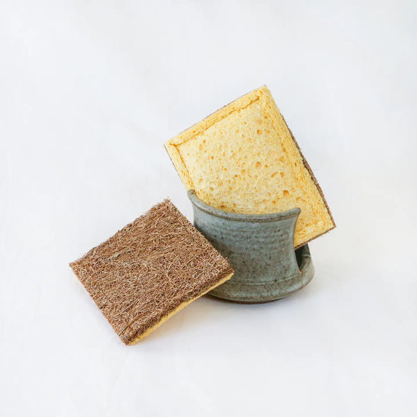 Cellulose Dish Sponge with Coconut Scrubber