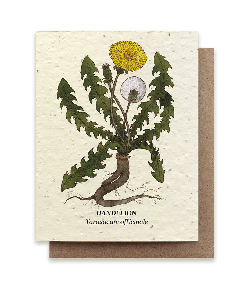 Plantable Seed Cards - New Designs!