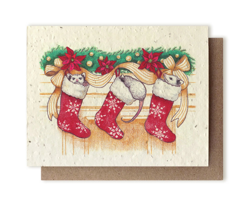 Plantable Seed Cards - New Designs!