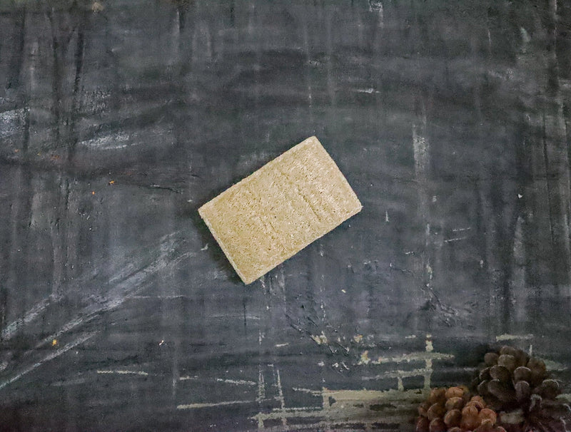 Compostable Sponge