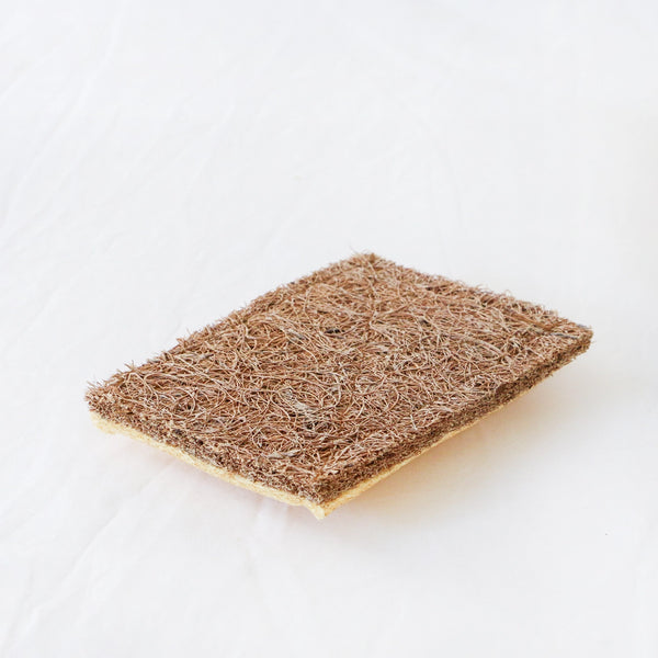 Cellulose Dish Sponge with Coconut Scrubber