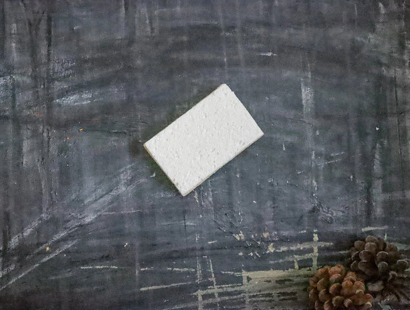 Compostable Sponge
