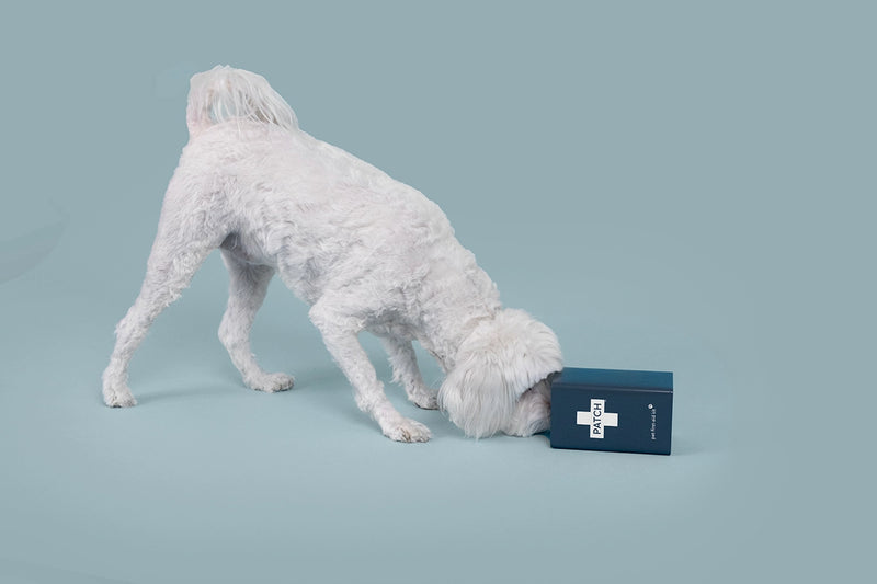 Pet Eco First-Aid Kit For Pets