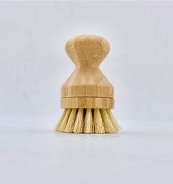 Pot Scrubber with Replaceable Head