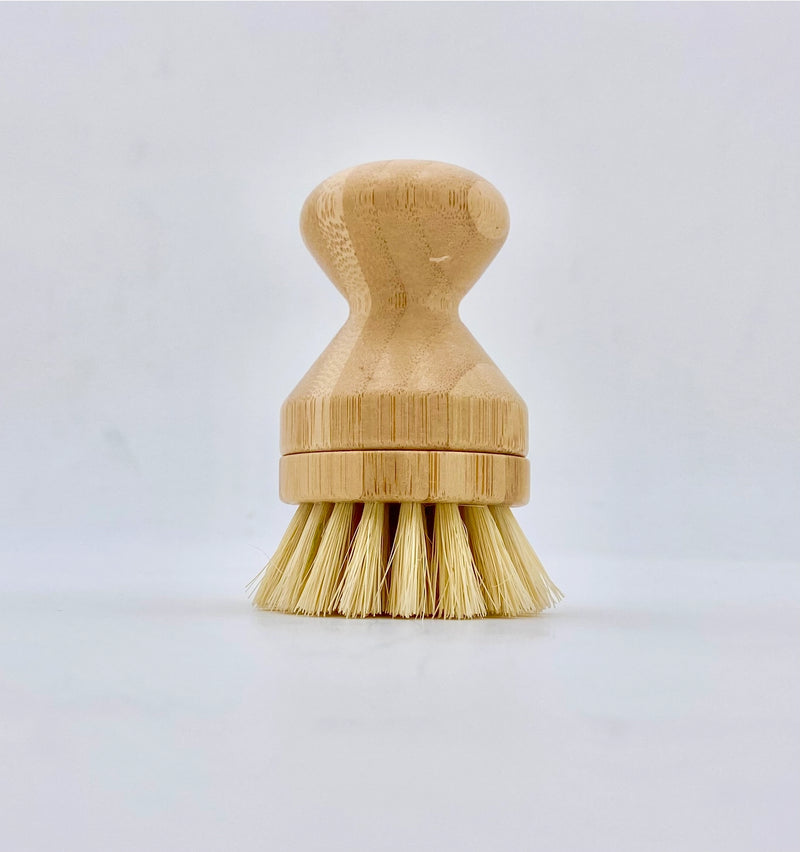 Pot Scrubber with Replaceable Head