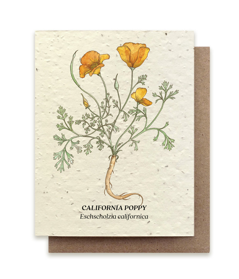 Plantable Seed Cards - New Designs!