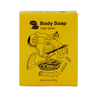 Body Soap