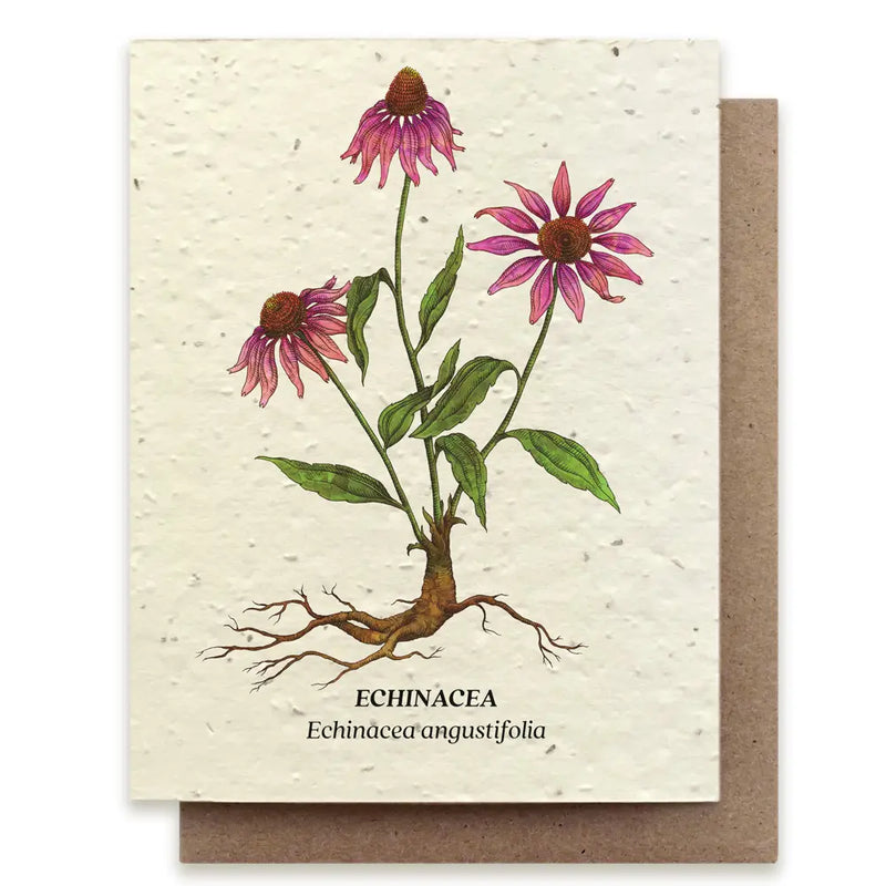 Plantable Seed Cards - New Designs!