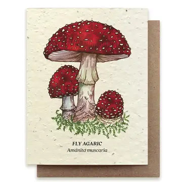 Plantable Seed Cards - New Designs!