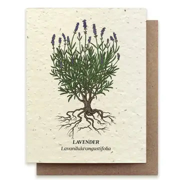 Plantable Seed Cards - New Designs!