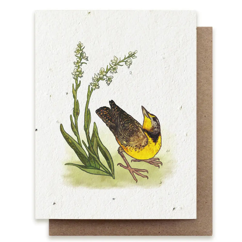 Plantable Seed Cards - New Designs!