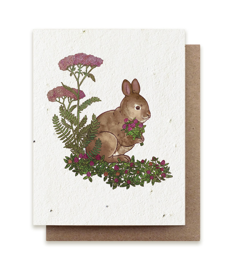 Plantable Seed Cards - New Designs!