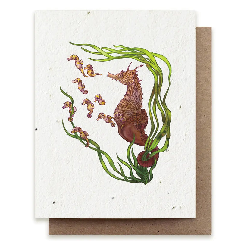 Plantable Seed Cards - New Designs!