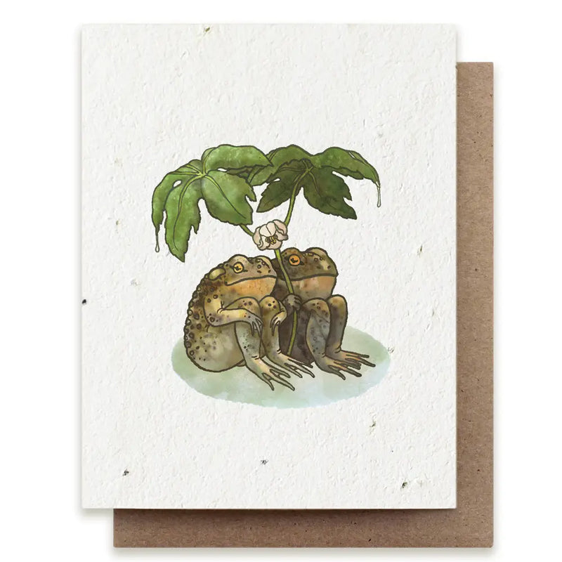 Plantable Seed Cards - New Designs!