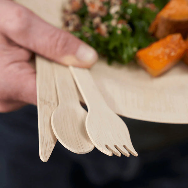 Compostable Bamboo Utensils, Pack of 10