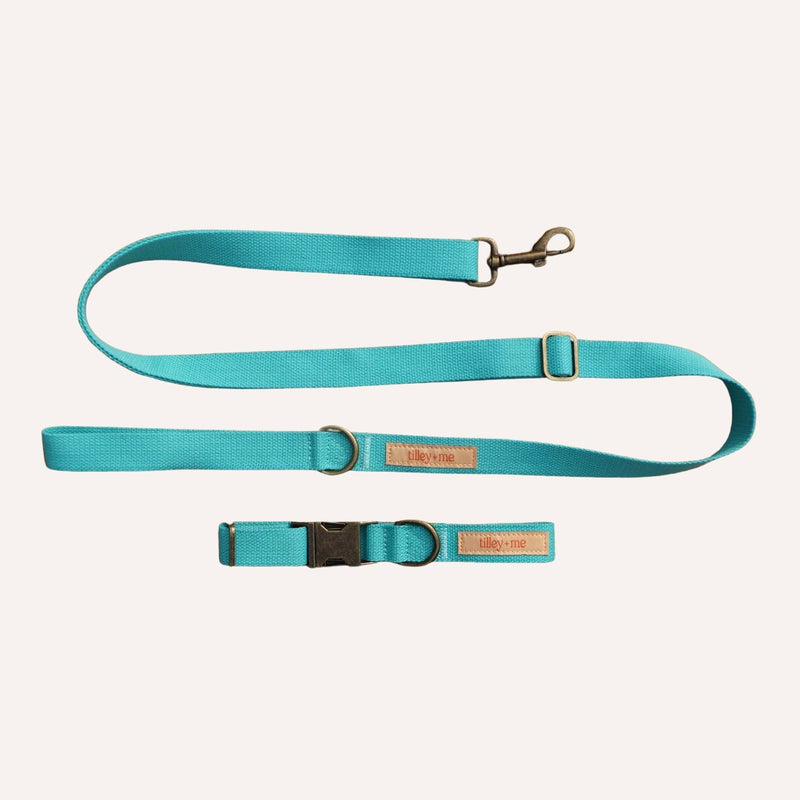 Organic Hemp Cotton Dog Collar & Leash - Adjustable & Durable