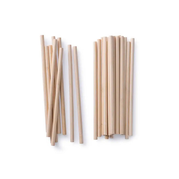Compostable Bamboo Straws, Pack of 10