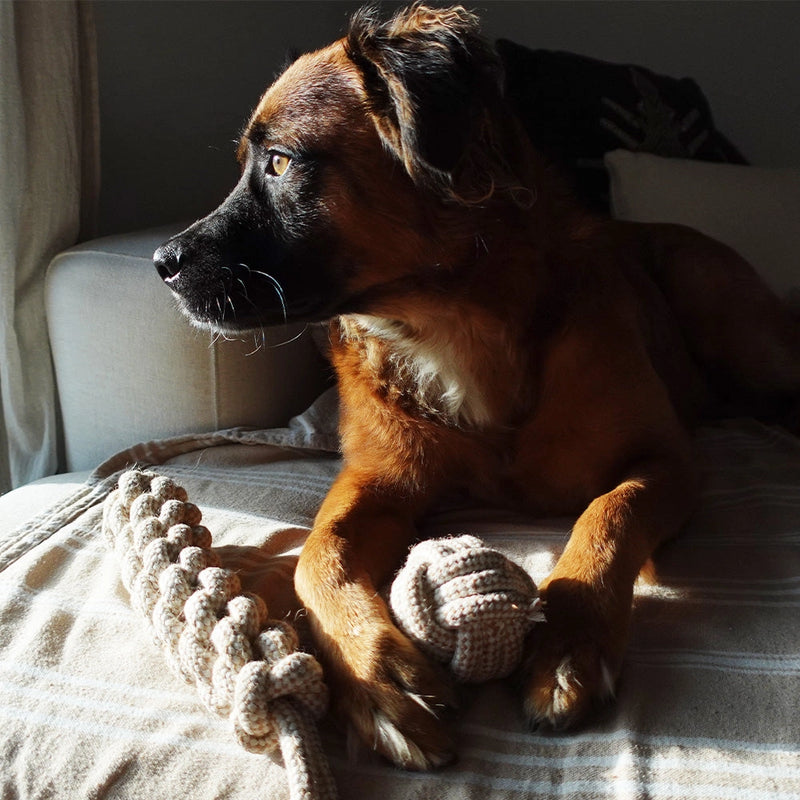 Dog-Safe Hemp Rope Dog Ball Toy