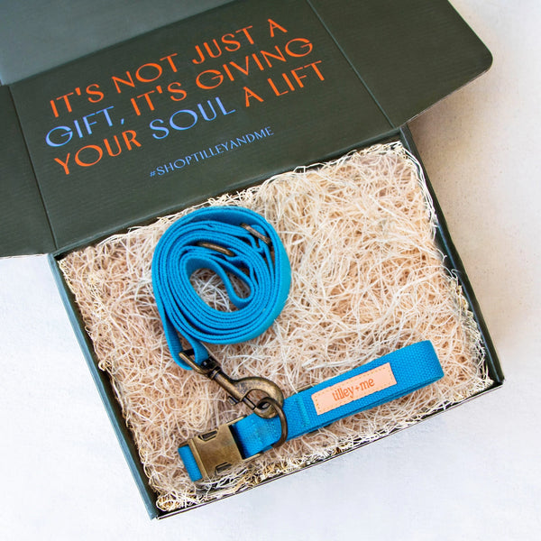Organic Hemp Cotton Dog Collar & Leash - Adjustable & Durable