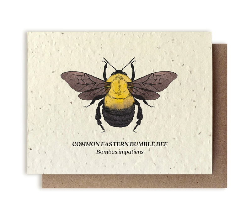 Plantable Seed Cards - New Designs!