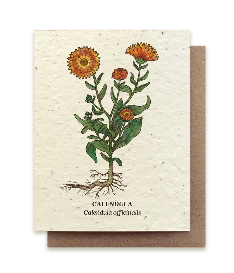 Plantable Seed Cards - New Designs!