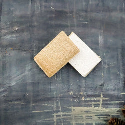 Compostable Sponge