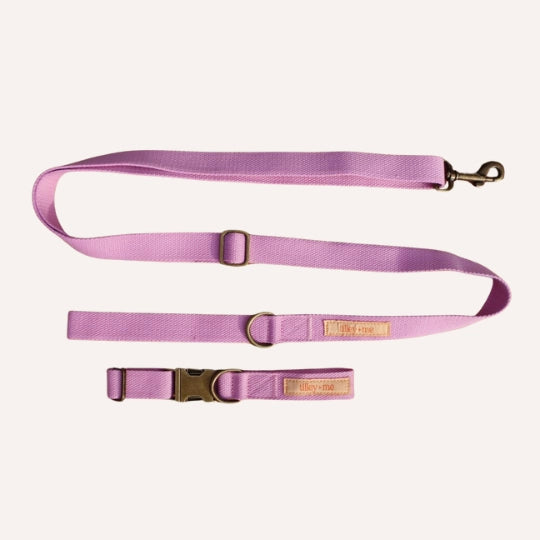 Organic Hemp Cotton Dog Collar & Leash - Adjustable & Durable