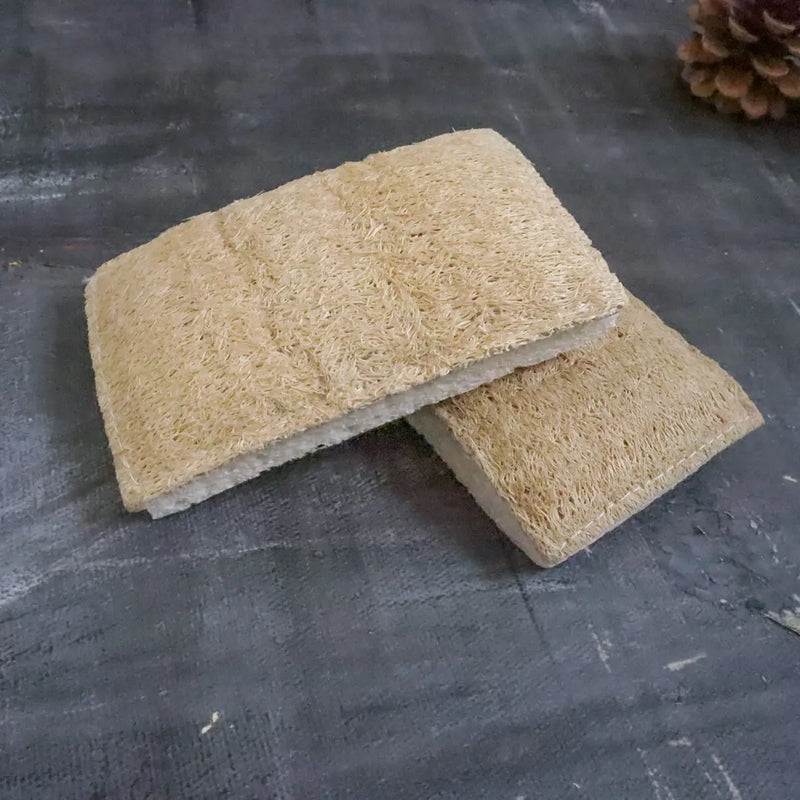 Compostable Sponge
