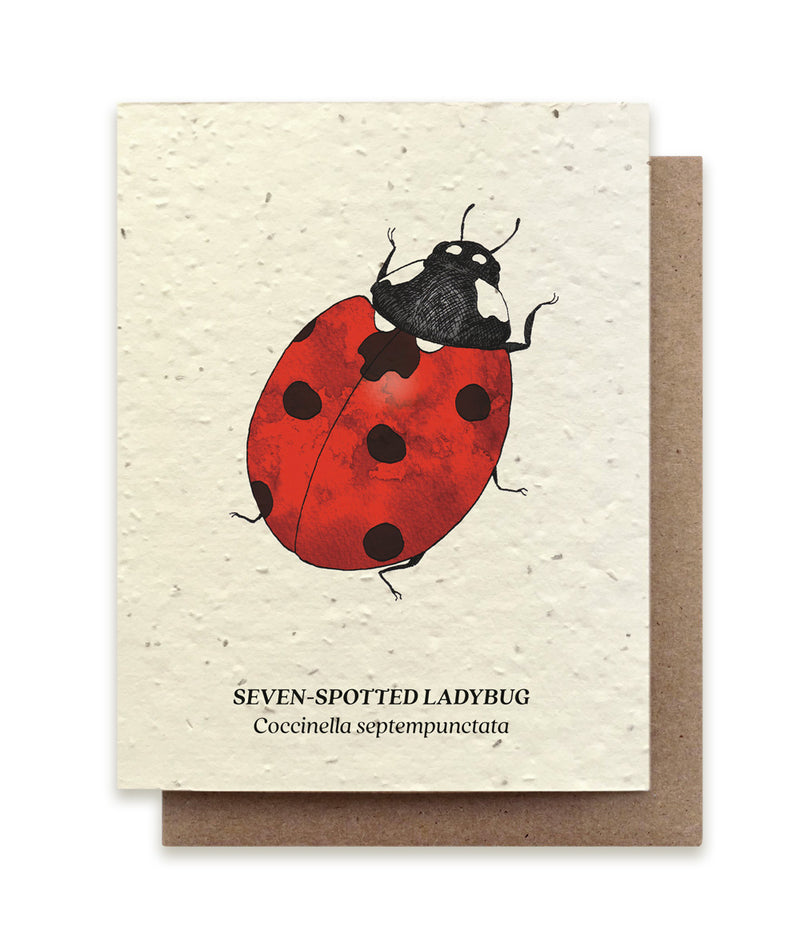 Plantable Seed Cards - New Designs!