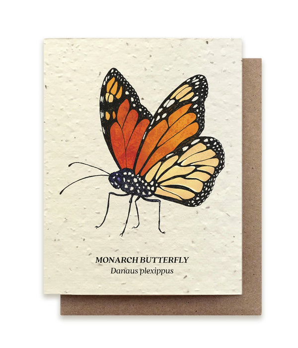 Plantable Seed Cards - New Designs!