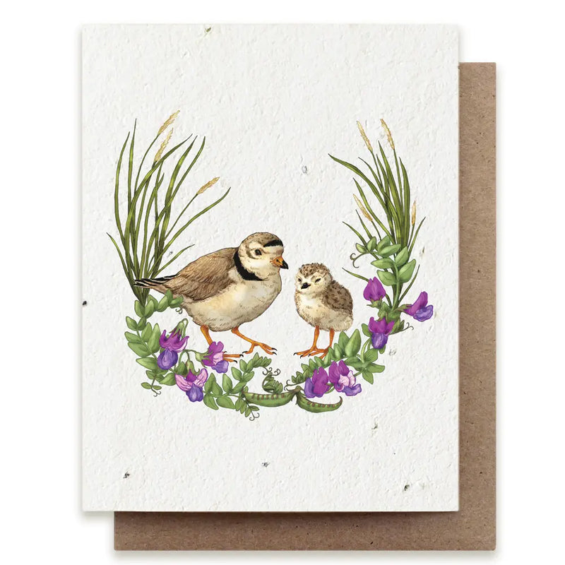 Plantable Seed Cards - New Designs!