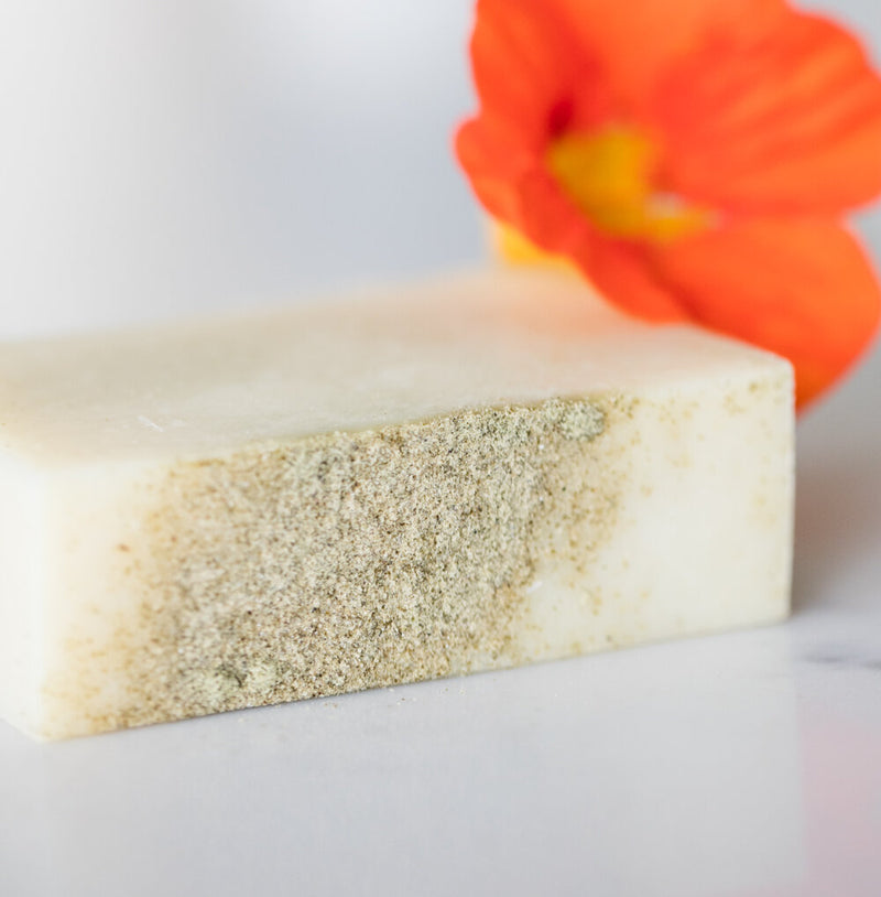 Wild Seaweed Sea Soap for Hair and Body