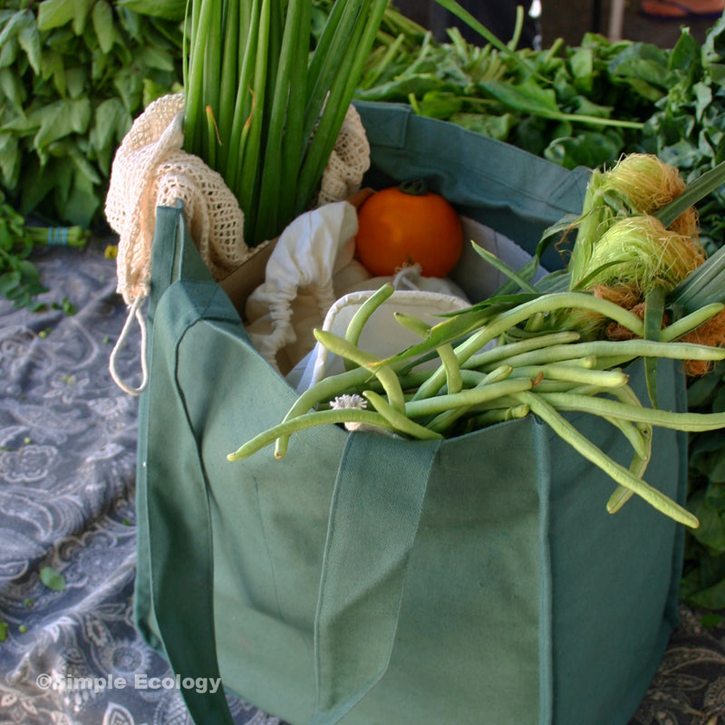 Large Grocery Bag with Inside Bottle Pockets