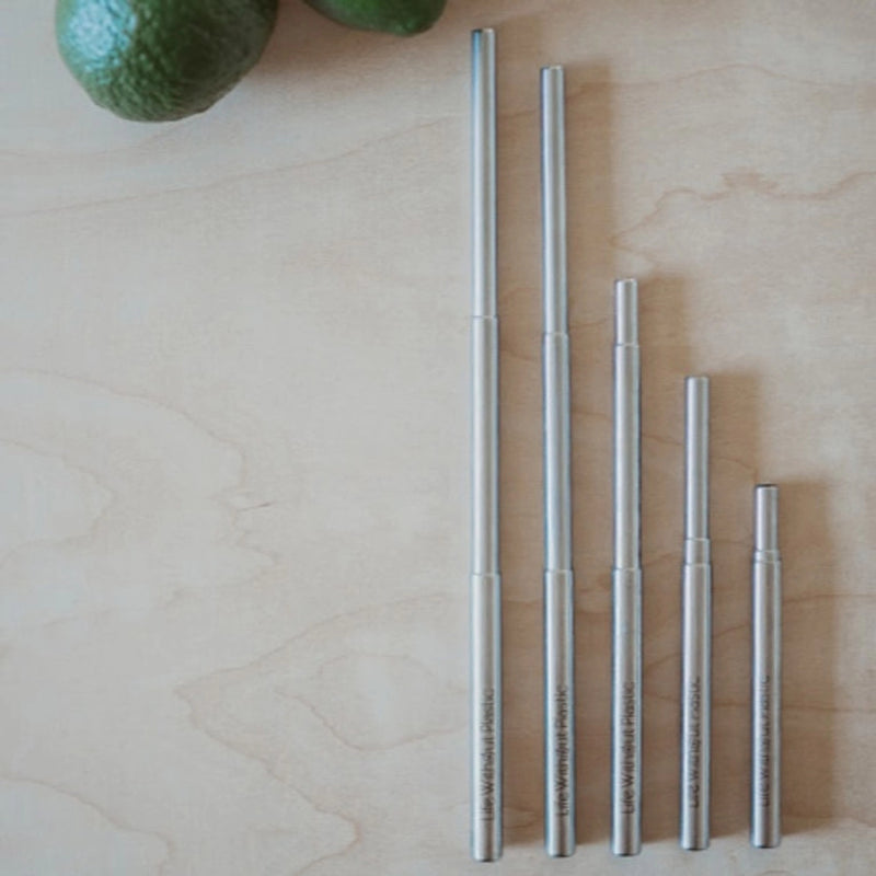 Telescopic Stainless Steel Straw and Cleaner with Natural Bristles