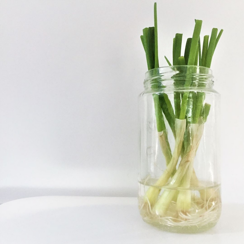 Bea Johnson - Zero Waste Home