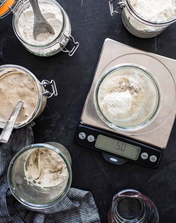 The Zero Waste Chef