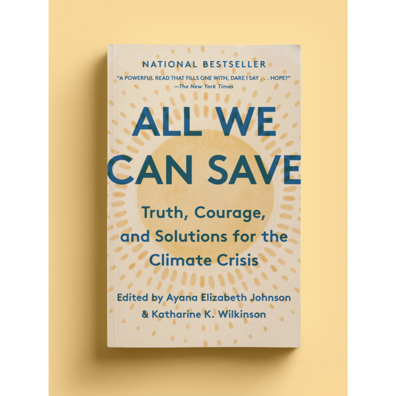 All We Can Save