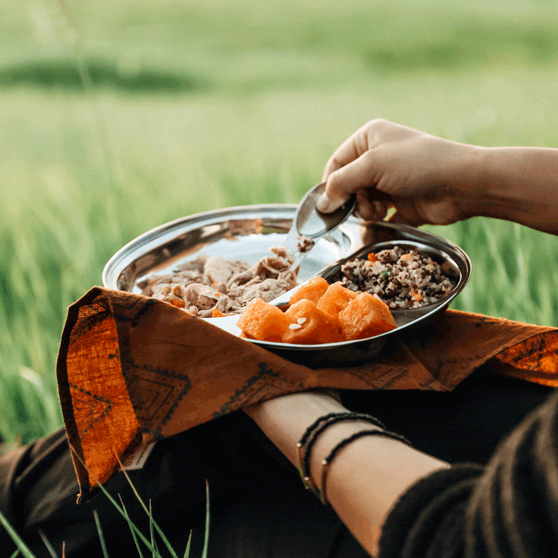 Camping Tray