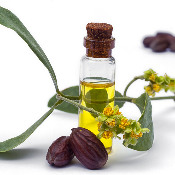 Organic Golden Jojoba Oil