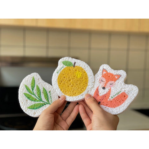 Plantish Sponges - Thumbnail 2