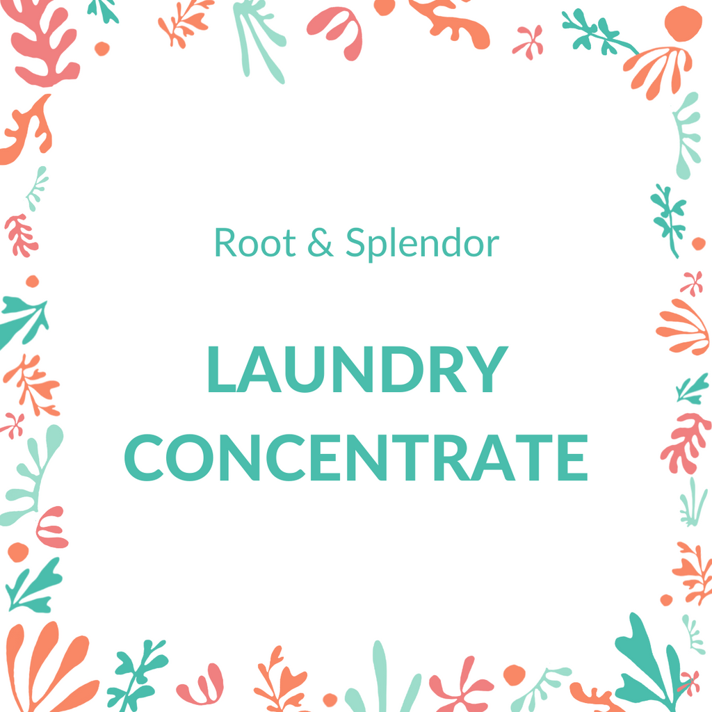 https://www.fillgood.co/cdn/shop/products/rootands-laundryconcentrate_1024x1024.png?v=1641508203